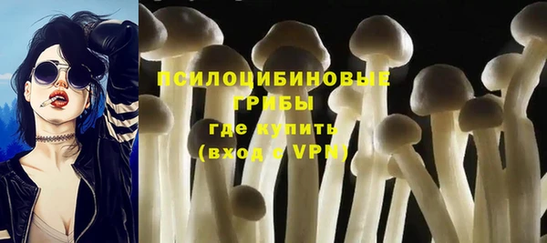 дмт Магадан