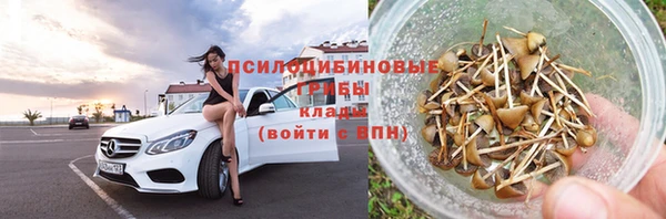 дмт Магадан