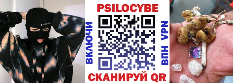 Купить  Боровск  Галлюциногенные грибы мицелий 